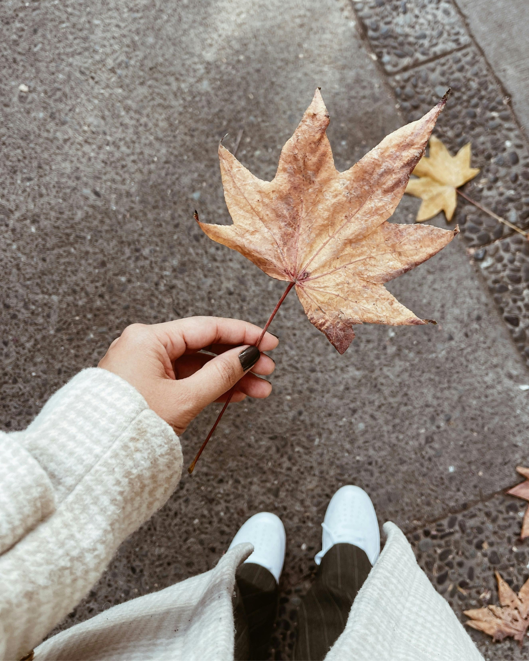 Erfolg hat mich unglücklich gemacht